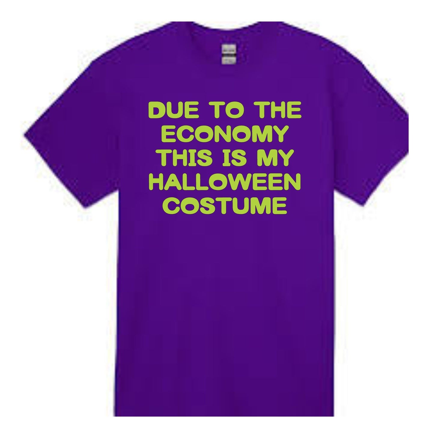 Halloween- Due To The Economy This Is My Halloween Costume