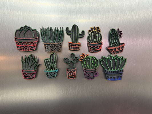 Wood Craft- Succulent Magnets